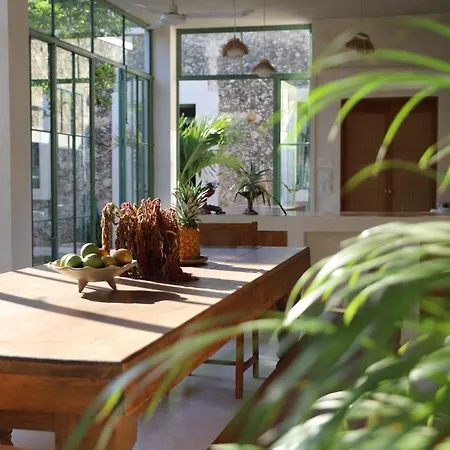Nuik Casa Tropical-3