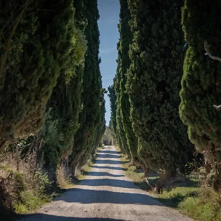Poggio delle Ginestre-2