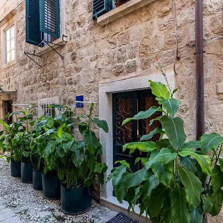 B&B Buza House-3