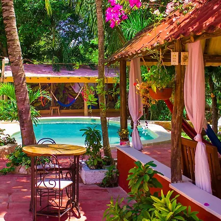 Casa De Los Pajaros - B&B-3