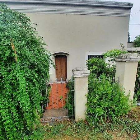 La casa del pino-2