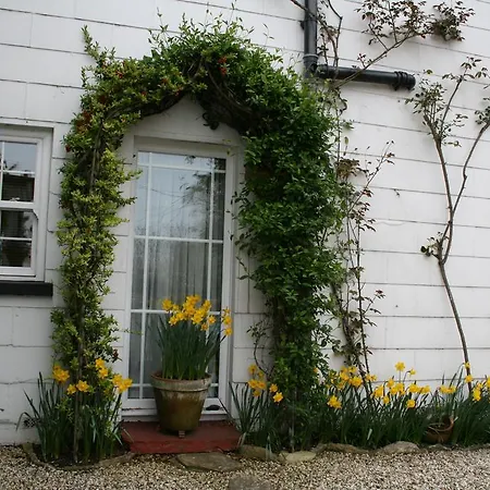 Clayhill House Bed & Breakfast-3