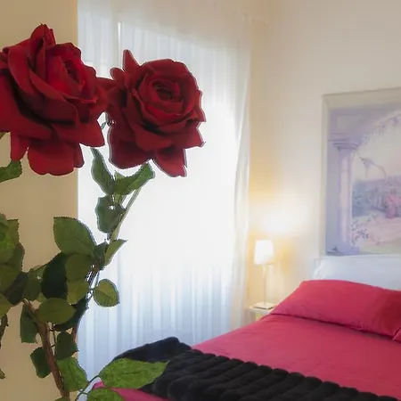 Addormi B&B-3