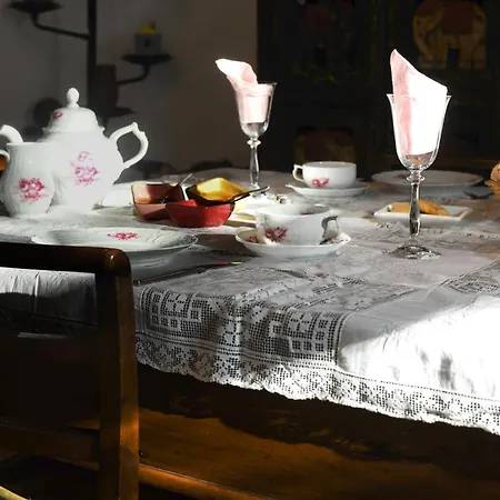 Merli'S Nest-3