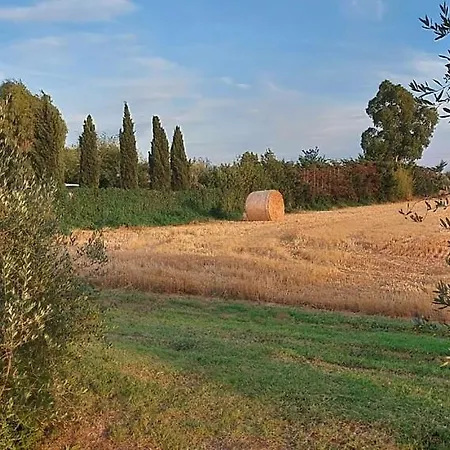 Il Cantuccio-2
