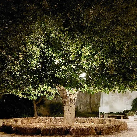 Masseria San Martino-2
