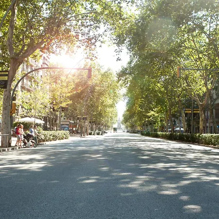 Spot Smart Nomad-3