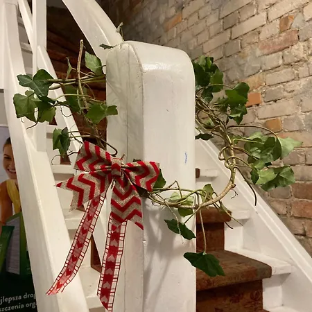 Villa Italiana pokoje z prywatnymi łazienkami&Odnowa Biologiczna-2