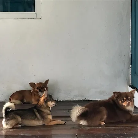 Ban Narai River Guesthouse-3
