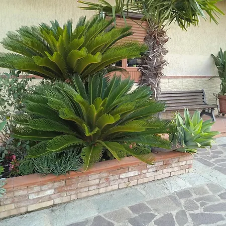 B&B La Porta Del Cilento-2