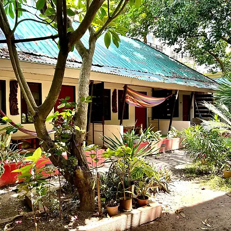 Lazy Dog Bed & Breakfast-3