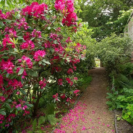 Boreham House-2