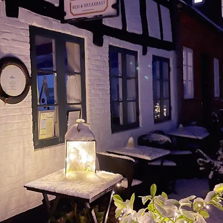 Restaurant Sælhunden-2