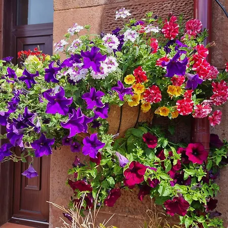 St Leonards Guest House-3