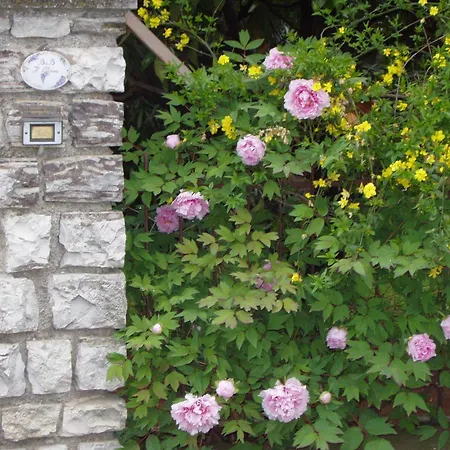 B&B Il Glicine-3
