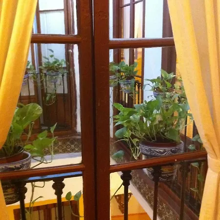 Bed & Breakfast Naranjo-2