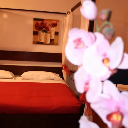 City'S House Guest House-3
