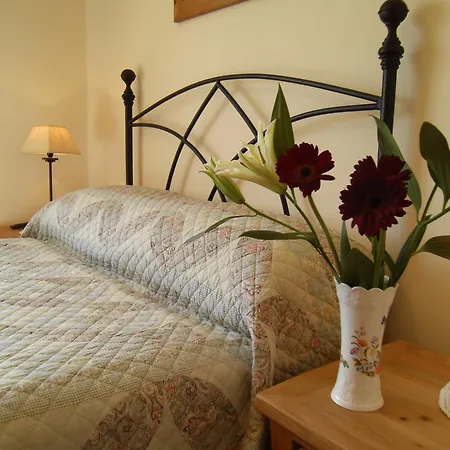 Seafield House B&B-3