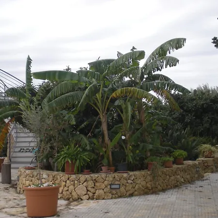 B&B Terra Marique-3