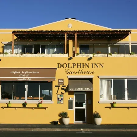 Dolphin Inn Guesthouse-3
