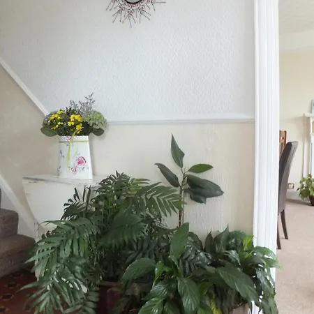 Sea Jade Guest House-2