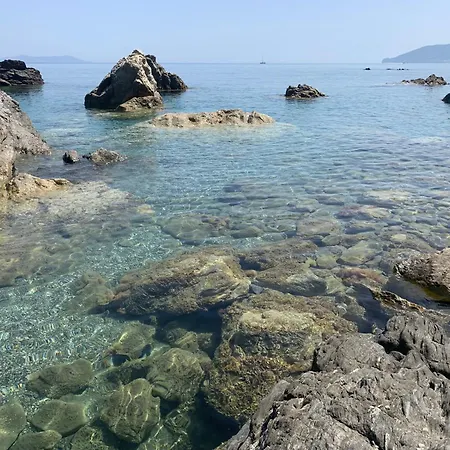 Il Fiore Bianco-3