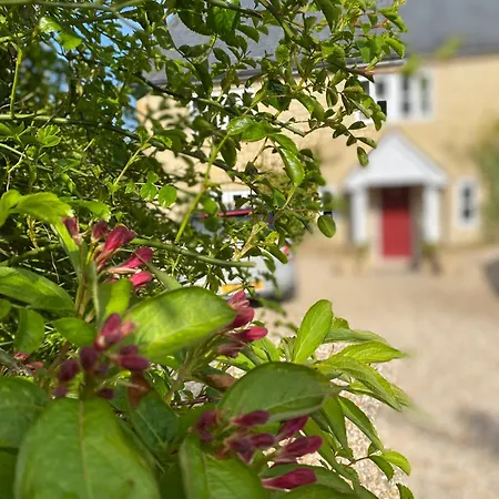 Lower Farm Cottage-3
