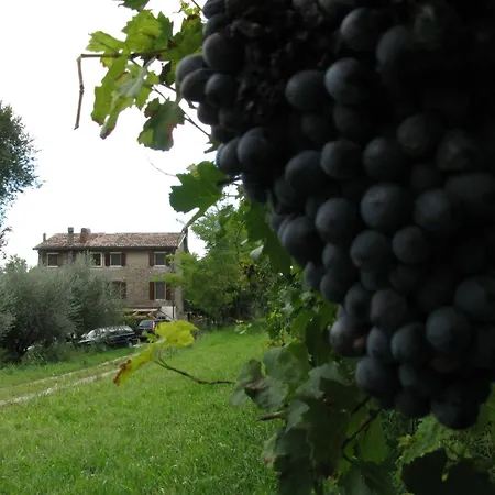 I Vigneti Bed & Breakfast-2