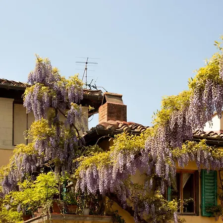 B&B Le Cannelle Fiesole-2