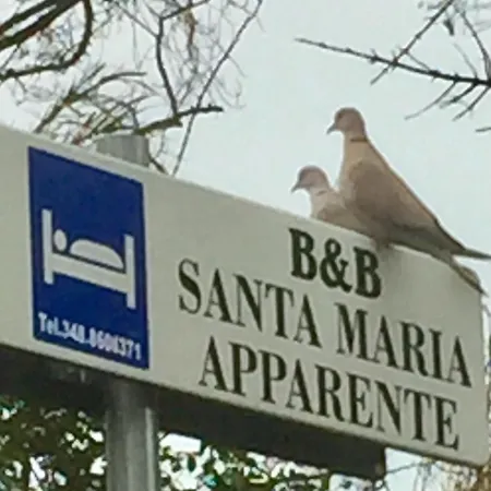 MONOLOCALI B&B Santa Maria Apparente-3