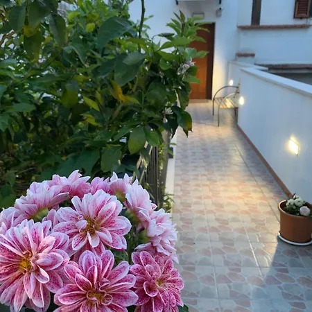 B&B Di Fiore-2