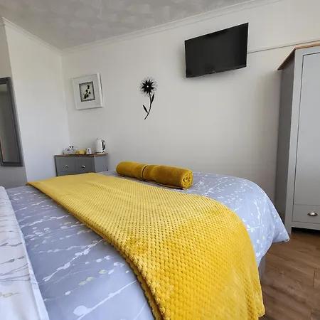 Daffodil Guest House-3