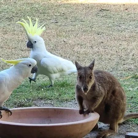 Magnetic Island Bed And Breakfast-3
