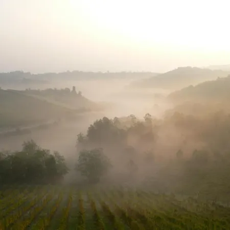 Agriturismo Villa Pallavicini-2