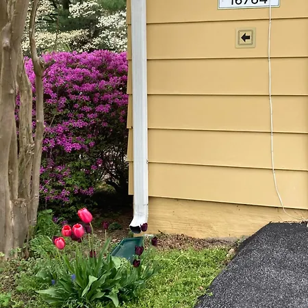 Purcellville Home-3