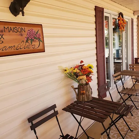La Maison Aux Camelias-2