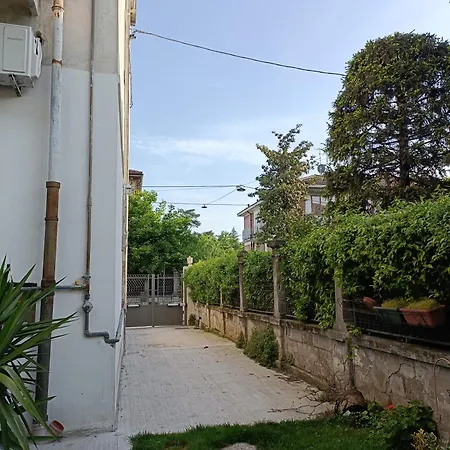 B&B Mavipagi-2