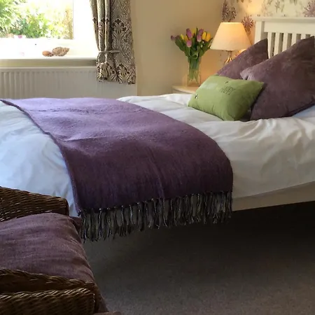 Brynhaul Bed And Breakfast-2