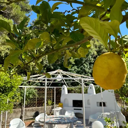 Villa Carruba-2