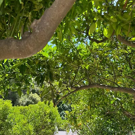 Villa Carruba-2