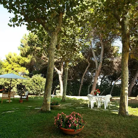 B&B Il Parco Dei Pini-3