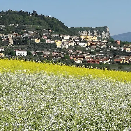 B&B Susanna-3