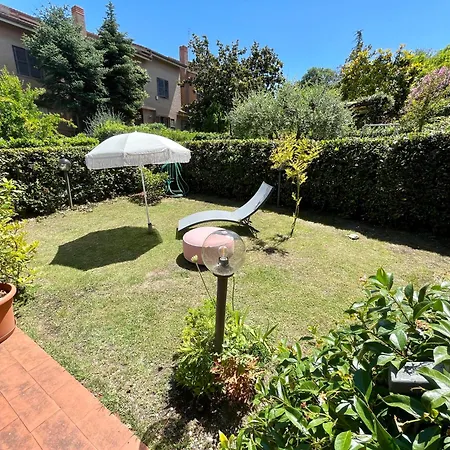 Alloro Marino-3