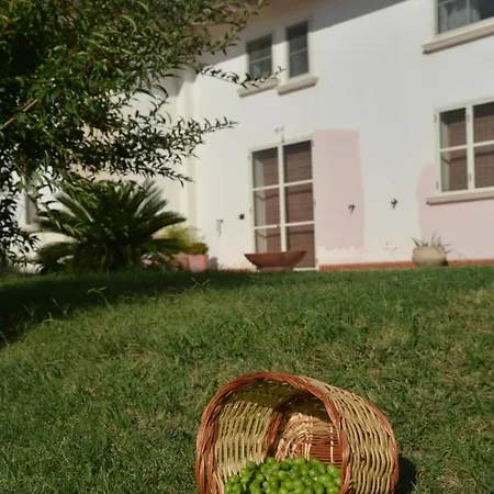 B&B Macchia d'Olmo-2
