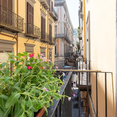 Neapolis Lifestyle-2