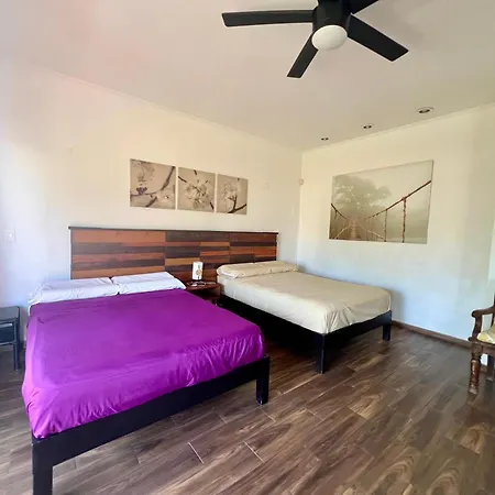 Cancun-Soho B&B-3