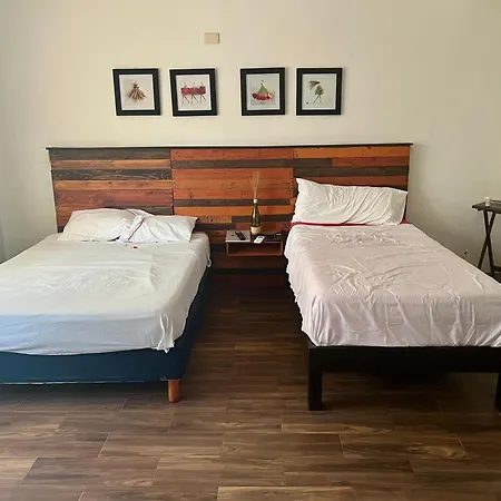 Cancun-Soho B&B-2