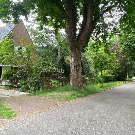 Studio Bergen-2
