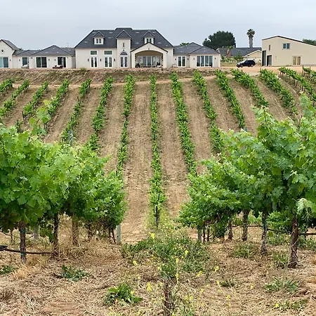 Domaine Chardonnay-2