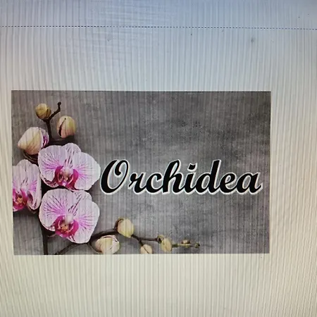 Appartamento Orchidea-3